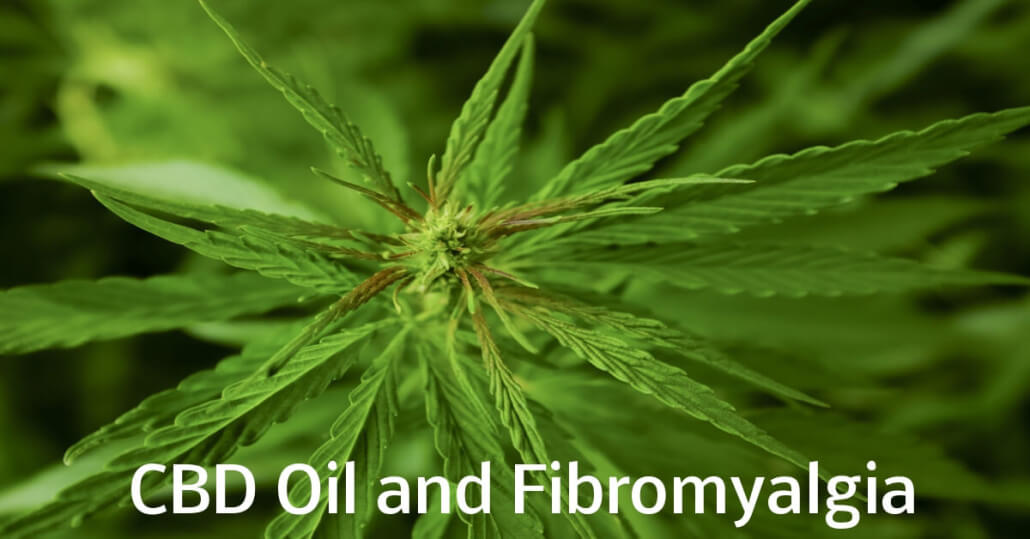 5 Facts About CBD Oil for Fibromyalgia