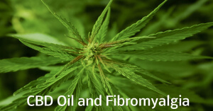 cbd-oil-and-fibromyalgia